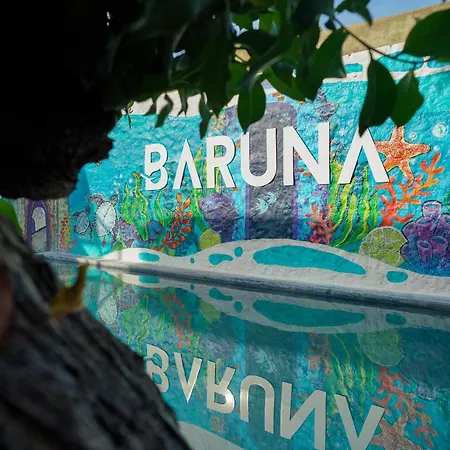 Baruna Eco Hotel *